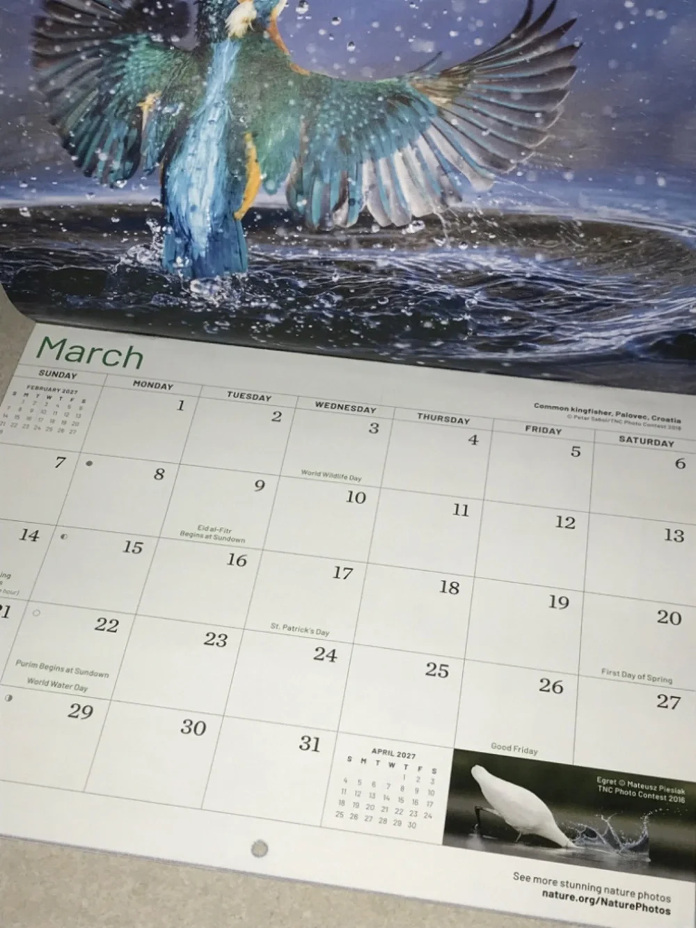 2027 Wildlife outdoors colorful wall Calendar
